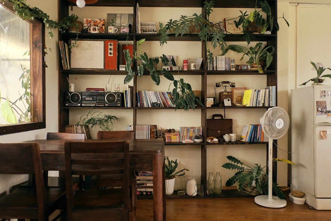 cozy home library