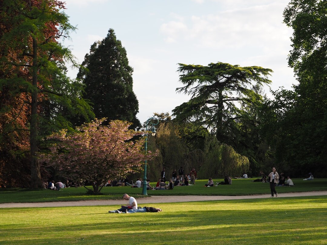 person walking in park with book